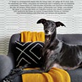 eci pets 19 março a 4 abril p2.jpg